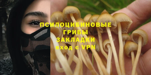 спайс Алексеевка