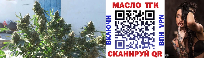 МЕГА маркетплейс  Палласовка  Дистиллят ТГК концентрат  магазин   