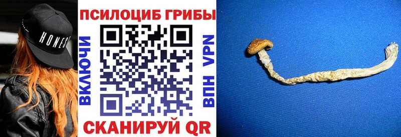 Псилоцибиновые грибы мицелий  нарко площадка официальный сайт  Палласовка 